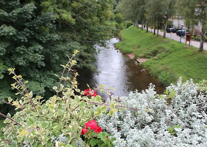 Weitblick Appartement *